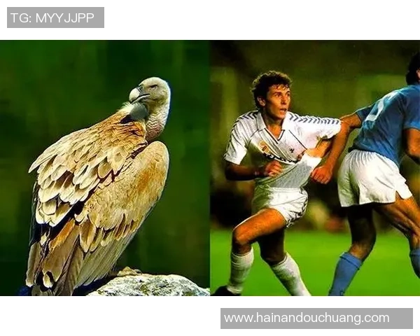 足球明星在中国的外号揭秘与背后的故事分析 足球明星在中国的外号揭秘与背后的故事分析