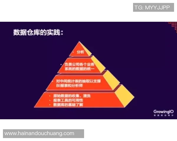 数据分析:武汉飞盘队的团队协作表现 数据分析:武汉飞盘队的团队协作表现