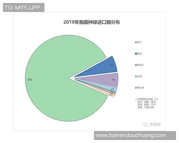 独家分析：南京羽毛球队的耐力对比